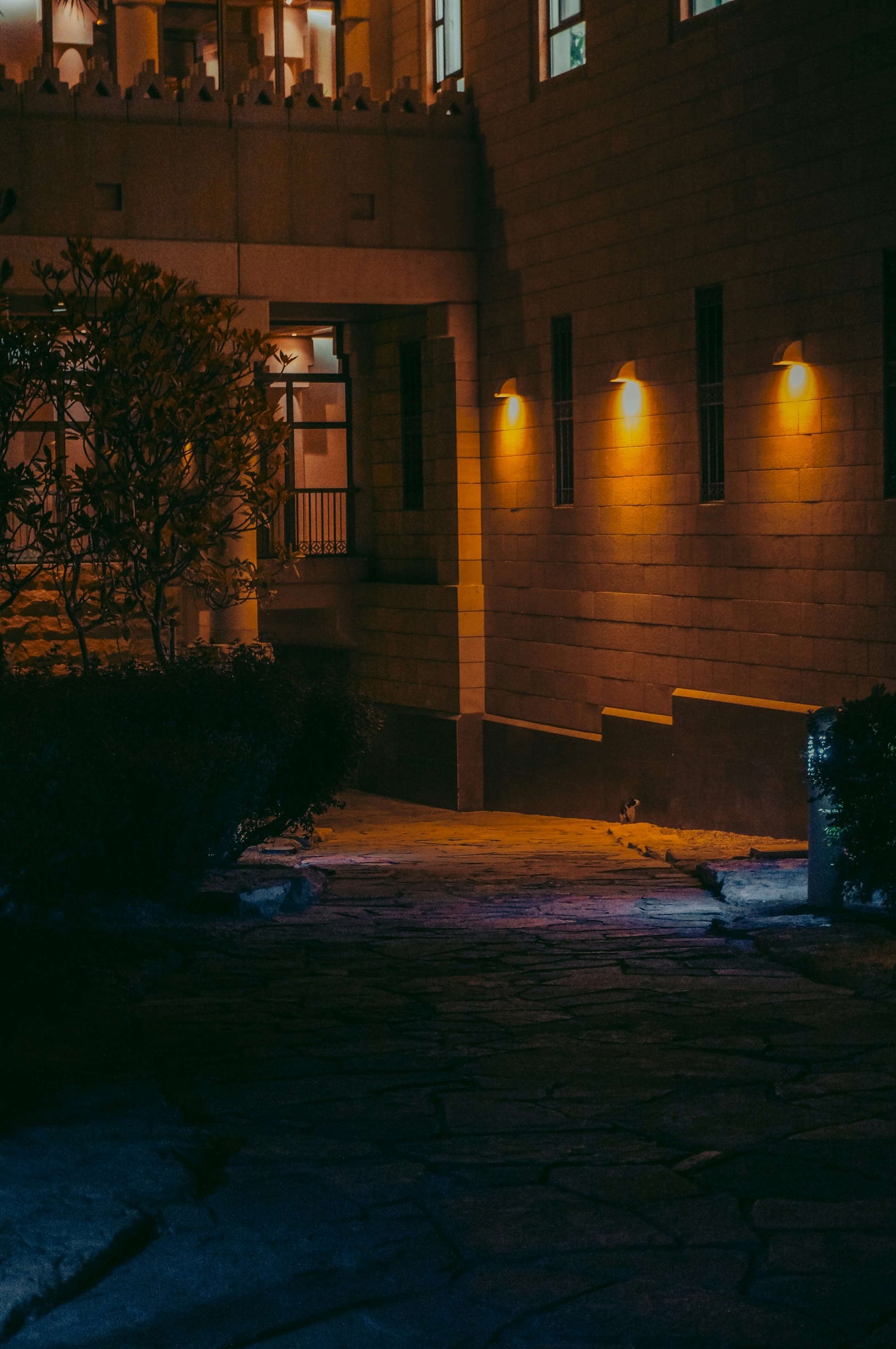 Outdoor Lighting