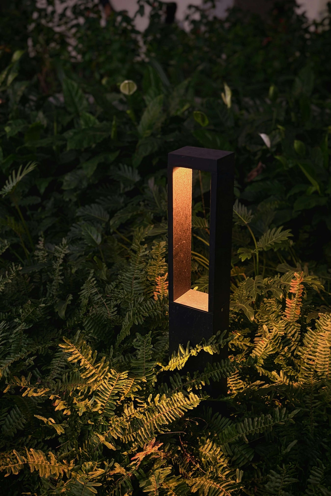Outdoor Lights